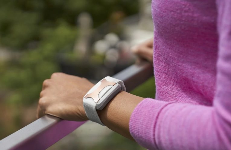 Clearwater: Can a Wearable Device Reduce Stress?